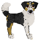 Cargo's Fields of Gold — “Maisey”