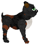 FDL's Lucky Ladybug — “Beetle”