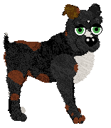 FDL's Lucky Ladybug — “Beetle”