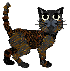 Cargo/Calluna's Blackcurrant Royale — “Tanqueray”