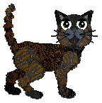 Profile image of Cargo/Calluna's Blackcurrant Royale