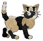 Profile image of FK/Calluna's Smelly Cat