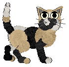 FK/Calluna's Smelly Cat — “Princess Consuela Banana Hammock”