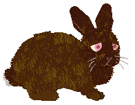 Profile image of Cargo/Coriander's Butter Pecan