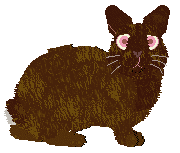 Cargo/Coriander's Butter Pecan — “Butter Pecan”