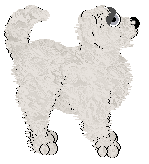 EC's Costly Colours — “Cribbage”