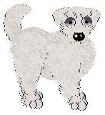 EC's Costly Colours — “Cribbage”