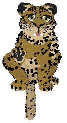 Aussome/Mockingbird's Spotted Clarity — “Lucido”