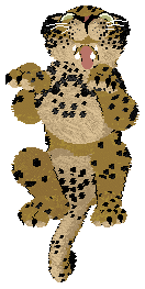 Aussome/Mockingbird's Spotted Clarity — “Lucido”