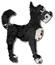 Profile image of Poppyhill Black Swan