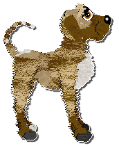 Profile image of Krunchez No More Dream