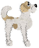 Krunchez Silver Spoon — “Melva”