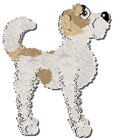 Profile image of Krunchez Silver Spoon