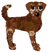 APS/Mockingbird's Pinch of Aromatics — “Cardamom”