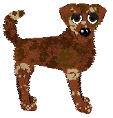 APS/Mockingbird's Pinch of Aromatics — “Cardamom”