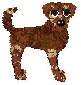 Profile image of APS/Mockingbird's Pinch of Aromatics