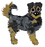 Profile image of Cirrutopia's Daily Jelly @ Mockingbird