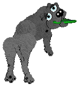 Alohomora's Pick the Scoop @ Mockingbird — “Scoop”