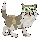 Profile image of Calluna's Melona Bliss