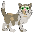 Calluna's Melona Bliss — “Jeju”