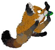 Cargo's Aka no Kokoro @ Mockingbird — “Aka”