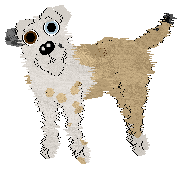 Cargo/Poppyhill's Born of Seafoam — “Seabreeze”