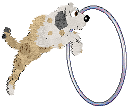 Cargo/Poppyhill's Born of Seafoam — “Seabreeze”