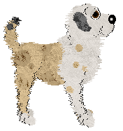 Cargo/Poppyhill's Born of Seafoam — “Seabreeze”