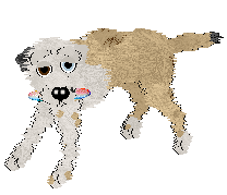 Cargo/Poppyhill's Born of Seafoam — “Seabreeze”