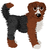 Profile image of Midnightwolf's Born of Shadows