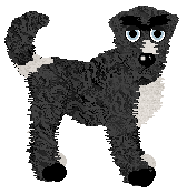 Profile image of Midnightwolf's Leading the Charge