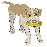 Ephemera Teleharmonic — “Erin”