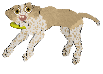 Ephemera Teleharmonic — “Erin”