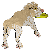 Ephemera Teleharmonic — “Erin”