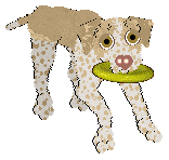 Ephemera Teleharmonic — “Erin”