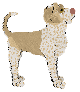 Ephemera Teleharmonic — “Erin”