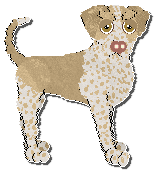 Profile image of Ephemera Teleharmonic