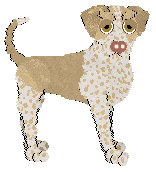 Ephemera Teleharmonic — “Erin”