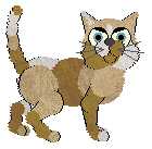 DQK/FDL's Magia Radiante — “Brujo”