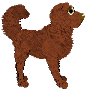 Profile image of Steph/Mockingbird's Hold Me Back