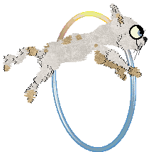 Witz/Calluna's Ferocious Apatite — “Arendal”