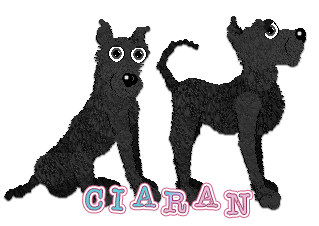 Profile image of Knight's Night Falls On You