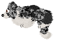 Come Bye's Ruffled Feathers — “Alena”