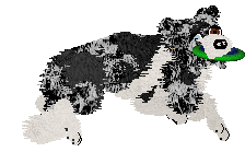 Come Bye's Ruffled Feathers — “Alena”