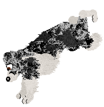 Come Bye's Ruffled Feathers — “Alena”