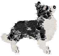 Come Bye's Ruffled Feathers — “Alena”