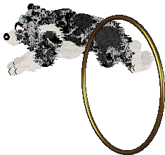 Come Bye's Ruffled Feathers — “Alena”