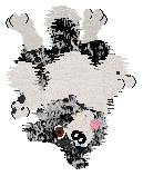 Come Bye's Ruffled Feathers — “Alena”