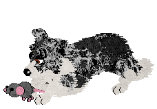 Come Bye's Ruffled Feathers — “Alena”