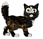 Toto's Rigatoni at Wild Road — “Rigby”